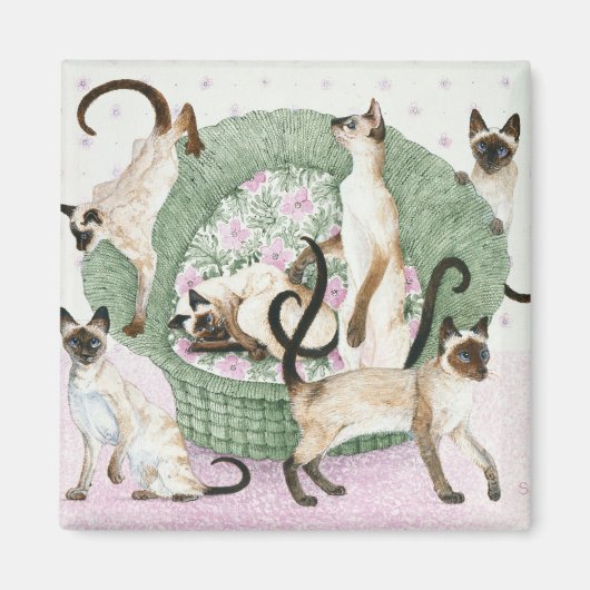 We are Siamese if you please Magneet (Voorkant)