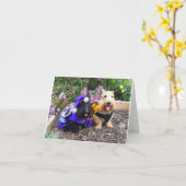 We Bee Glimlachen Kaart (Gele Bloem)