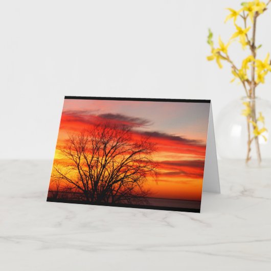 We behoren tot dezelfde familieboom, Birthday Humo Kaart (Gele Bloem)