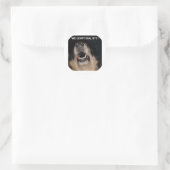WE BELLEN GEEN 911 DOG RONDE STICKER (Tas)