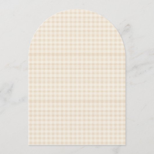 We Can Bearly Wait Gingham Baby Shower Kaart (Achterkant)