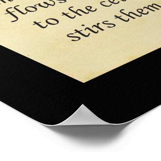 We Chiropractors werken met het Soul Poster (Hoek)