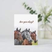 We denken aan je paarden om te weten dat je in ord briefkaart (Staand voorkant)