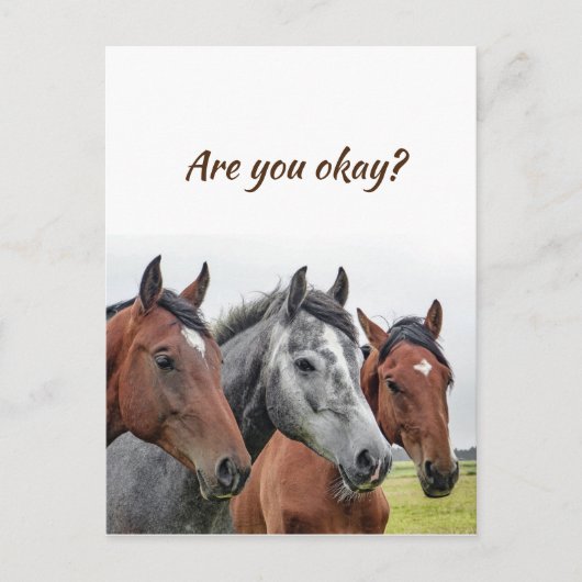 We denken aan je paarden om te weten dat je in ord briefkaart (Voorkant)