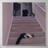 We duwden hem niet! poster (Voorkant)