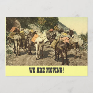 We gaan de aankondiging in beweging