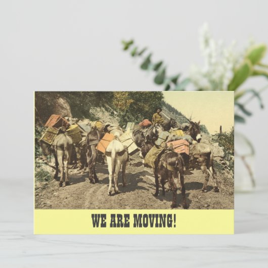 We gaan de aankondiging in beweging (Staand voorkant)