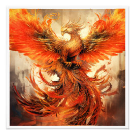 WE GAAN DE FOTOPRINT VERHOGEN FOTO AFDRUK