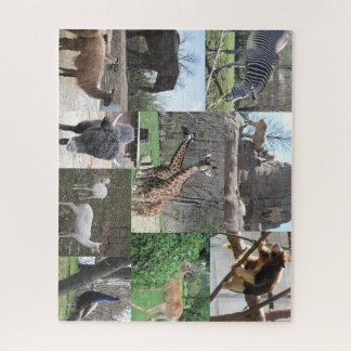 We gaan naar de dierentuin legpuzzel