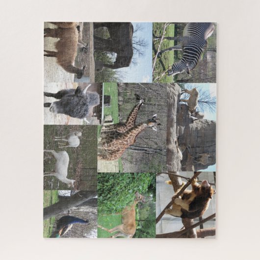 We gaan naar de dierentuin legpuzzel (Verticaal)