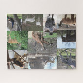 We gaan naar de dierentuin legpuzzel (Horizontaal)