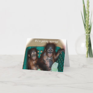 We Gaan Trouwen Schattig en Whimsical Aankondiging