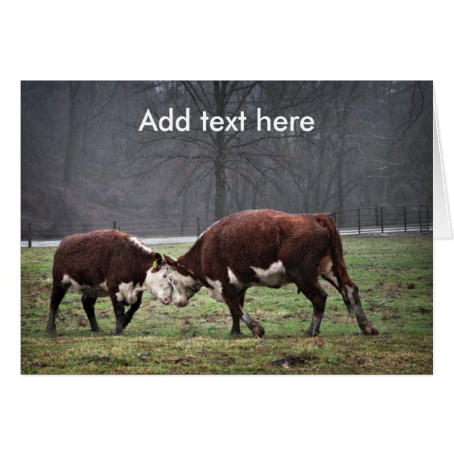 We gaan vooruit... (Voorkant Horizontaal)