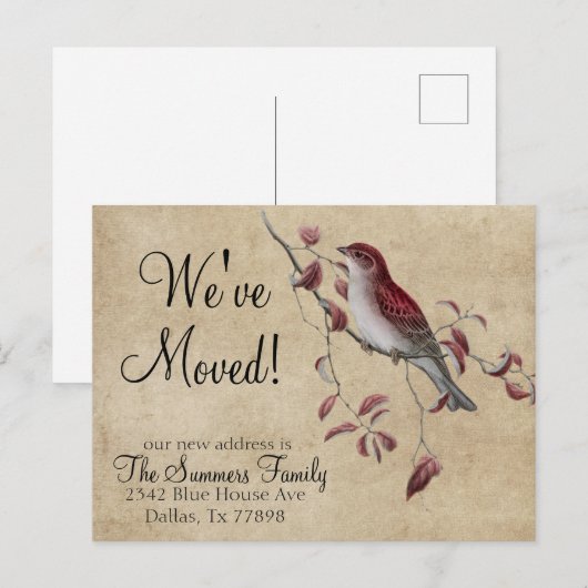  We hebben Adresaankondiging Bird verplaatst Aankondigingskaart (Voorkant / Achterkant)