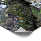 We hebben allemaal ons MOSS-naar-beer poster (Hoek)