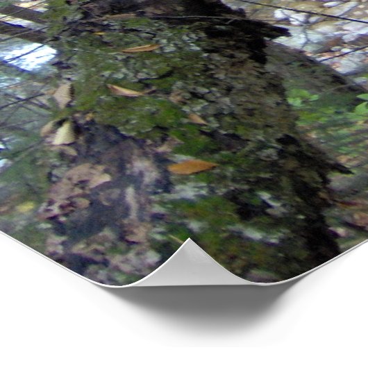 We hebben allemaal ons MOSS-naar-beer poster (Hoek)