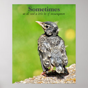 We hebben allemaal Poster voor de klaslokalen nodi