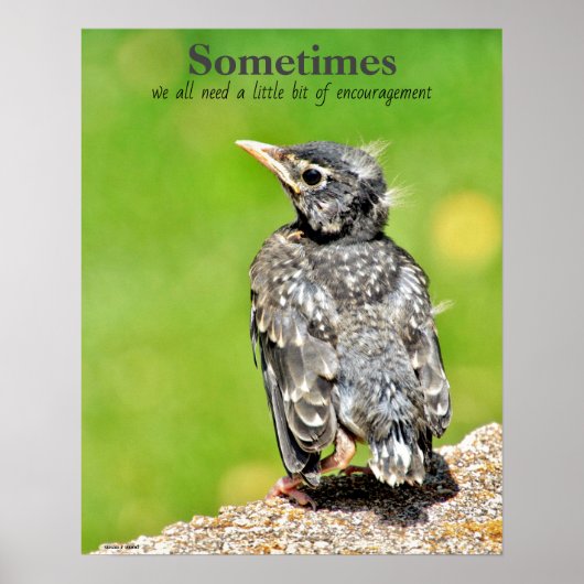 We hebben allemaal Poster voor de klaslokalen nodi (Voorkant)