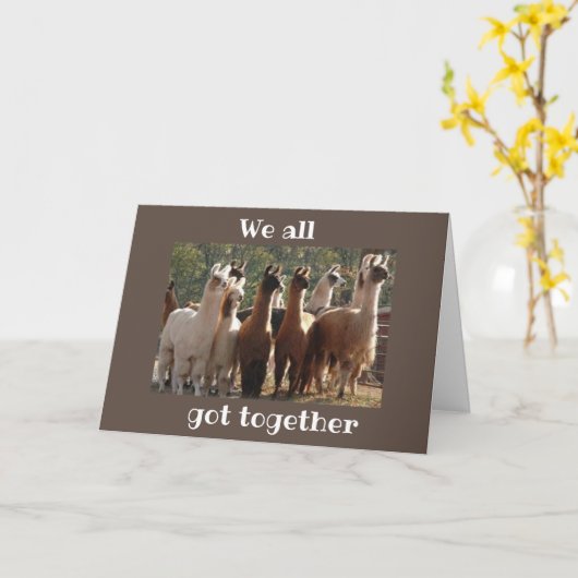 WE HEBBEN ALLEMAAL "SAMEN" ** VERJAARDAG *** KAART (Gele Bloem)