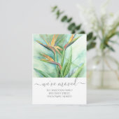 We hebben Birds of Paradise Floral Name Script ver Aankondiging (Staand voorkant)