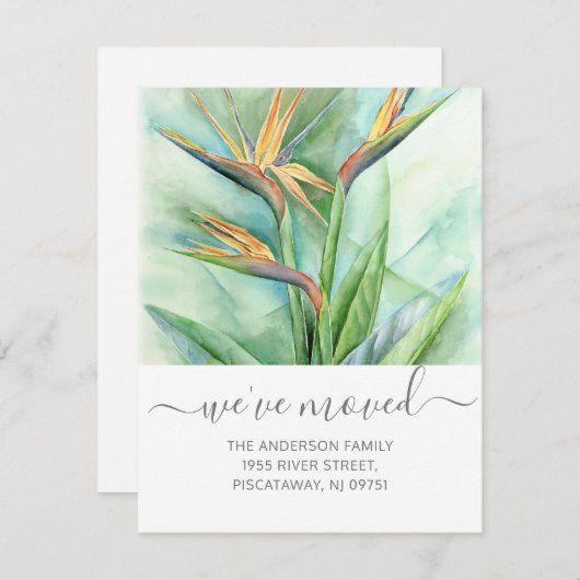 We hebben Birds of Paradise Floral Name Script ver Aankondiging (Voorkant / Achterkant)