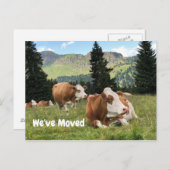 We hebben Boerderij Ranch House Koe Pasture verpla Aankondigingskaart (Voorkant / Achterkant)