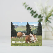 We hebben Boerderij Ranch House Koe Pasture verpla Aankondigingskaart (Staand voorkant)