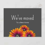 We hebben Boho Daisies Botanical Grey Moving verpl Aankondigingskaart (Voorkant)