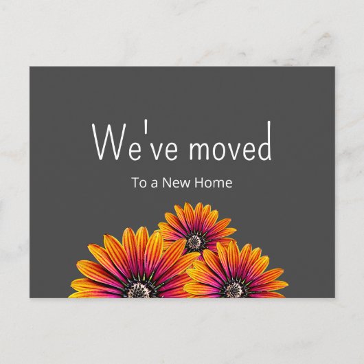 We hebben Boho Daisies Botanical Grey Moving verpl Aankondigingskaart (Voorkant)