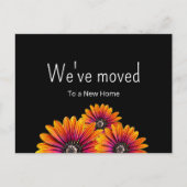 We hebben Boho Daisies Floral Moving verplaatst Aankondigingskaart (Voorkant)