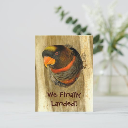 We hebben Briefkaart verplaatst (Staand voorkant)