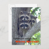 We hebben Briefkaart verplaatst (wasberen in de bo (Voorkant / Achterkant)