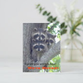 We hebben Briefkaart verplaatst (wasberen in de bo (Staand voorkant)