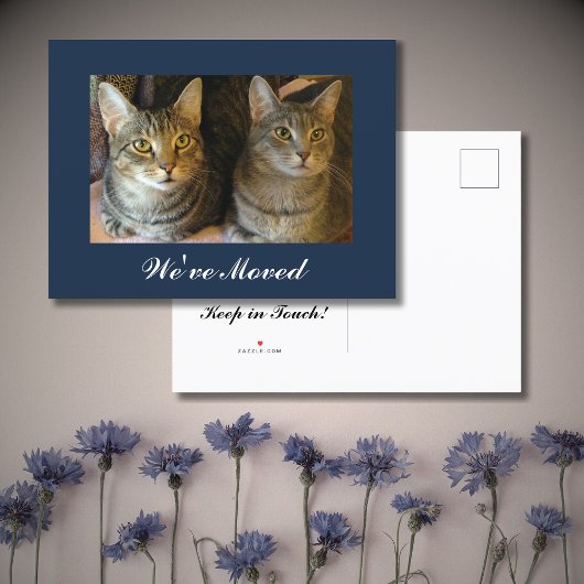 We hebben Cats Photo New Home Navy Blue Moving ver Aankondigingskaart