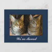 We hebben Cats Photo New Home Navy Blue Moving ver Aankondigingskaart (Voorkant)