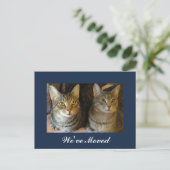 We hebben Cats Photo New Home Navy Blue Moving ver Aankondigingskaart (Staand voorkant)