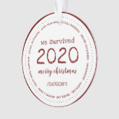 We hebben de 2020-naam Acryl overleefd Ornament (voorkant)
