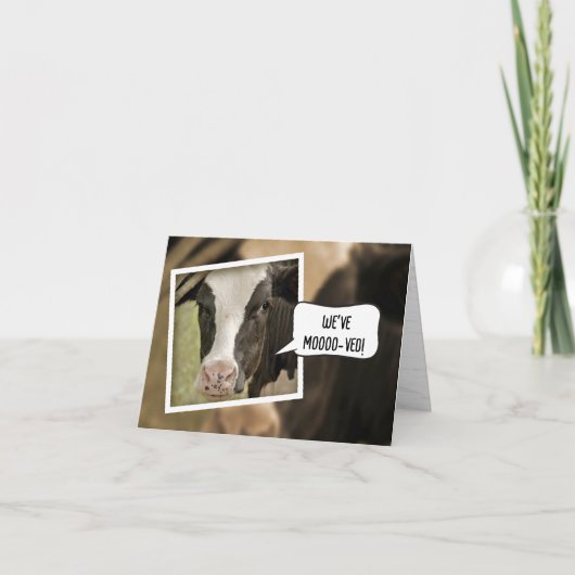 We hebben de aankondiging met Koe verplaatst (Voorkant)