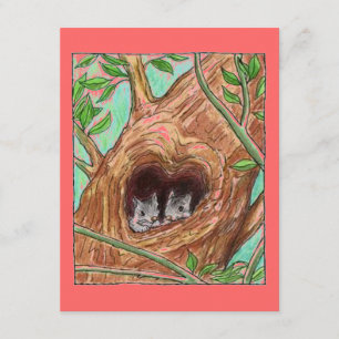 We hebben de aankondiging van de nieuwe adresuitno