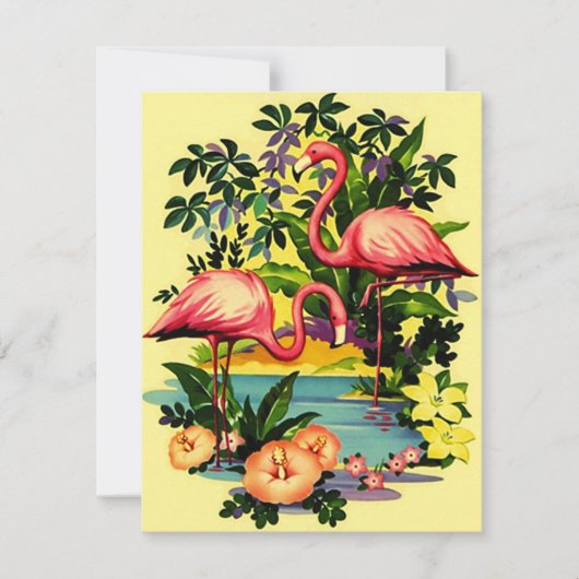 We hebben de aankondiging van Flamingos Pool-side (Voorkant)