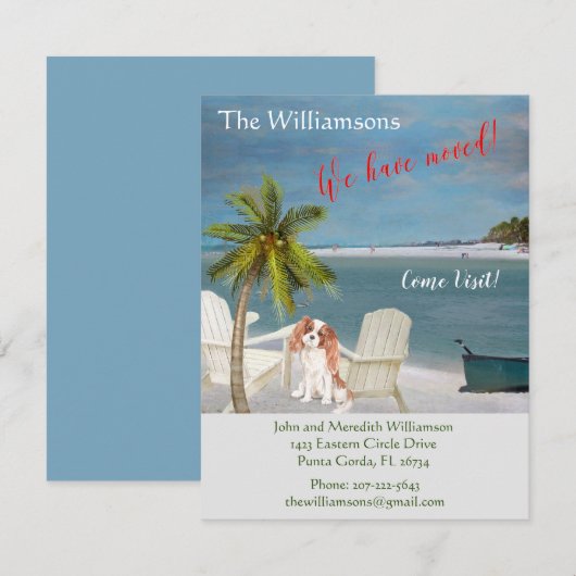 We hebben de 'Dog Ocean Beach'-beweging verplaatst Aankondiging (Voorkant / Achterkant)