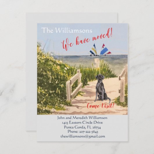 We hebben de 'Dog Ocean Beach'-beweging verplaatst Aankondiging (Voorkant / Achterkant)