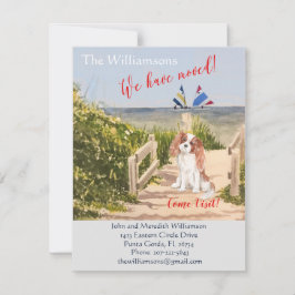 We hebben de 'Dog Ocean Beach'-beweging verplaatst Aankondiging