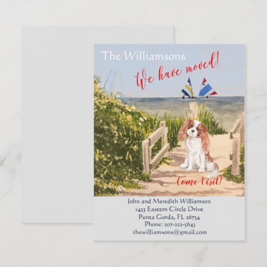 We hebben de 'Dog Ocean Beach'-beweging verplaatst Aankondiging (Voorkant / Achterkant)