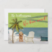 We hebben de 'Dog Ocean Beach' budgetverplaatsing  Aankondiging (Voorkant)