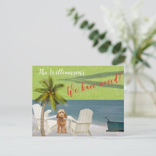 We hebben de 'Dog Ocean Beach' budgetverplaatsing Aankondiging (Staand voorkant)