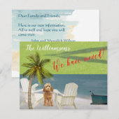 We hebben de 'Dog Ocean Beach' budgetverplaatsing  Aankondiging (Voorkant / Achterkant)