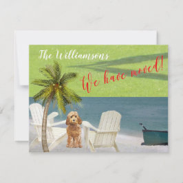 We hebben de 'Dog Ocean Beach' budgetverplaatsing  Aankondiging