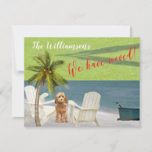 We hebben de 'Dog Ocean Beach' budgetverplaatsing  Aankondiging