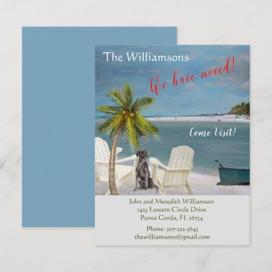 We hebben de 'Dog Ocean Beach' budgetverplaatsing Aankondiging (Voorkant / Achterkant)